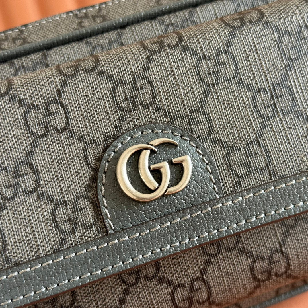 Gucci Ophidia Mini Handbag Gray Canvas Leather 272066