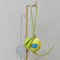 Loewe Charm Bag Apple Green Leather