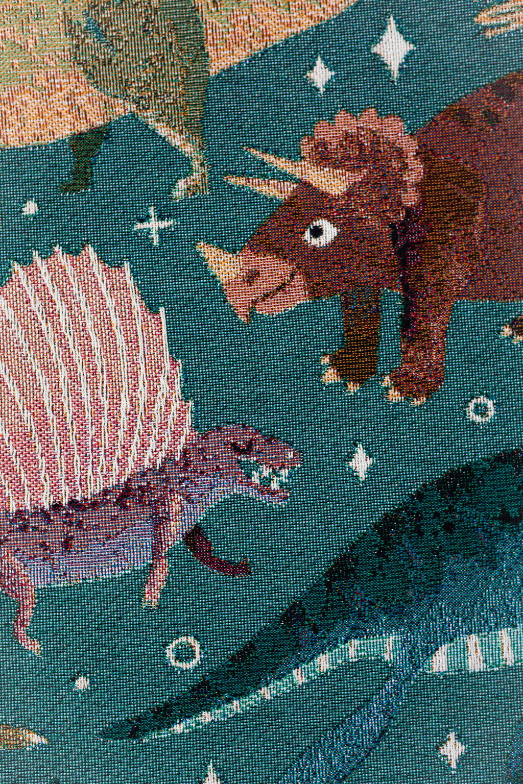 Dinosaur Personalized Throw Blanket: Woven Cotton Throw, Cute Stegosaurus Brontosaurus Triceratops, Colorful Kids Teen Bedroom, Christmas