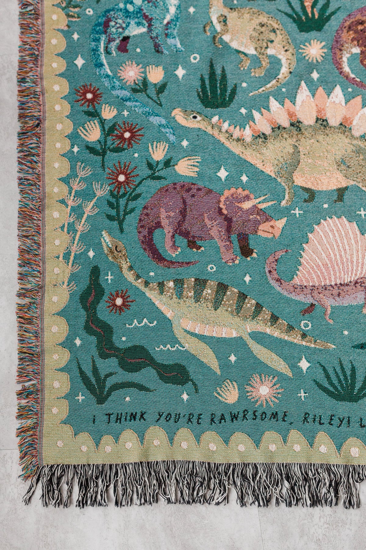 Dinosaur Personalized Throw Blanket: Woven Cotton Throw, Cute Stegosaurus Brontosaurus Triceratops, Colorful Kids Teen Bedroom, Christmas