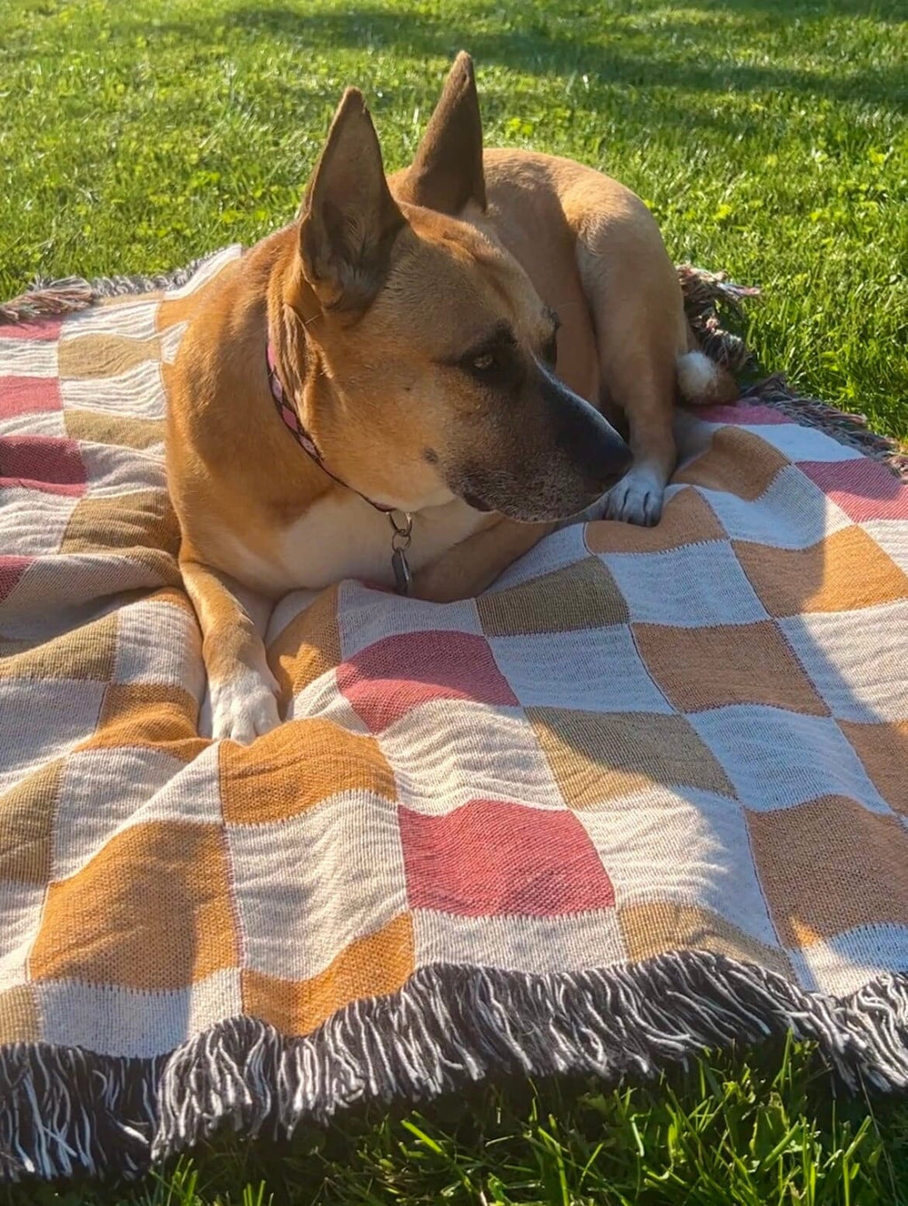 Woven Throw Blanket Checkered Boho Blanket, Cozy Sofa Blanket, living room decor, new apartment, Picnic Blanket Garden Girl Gift Outdoor