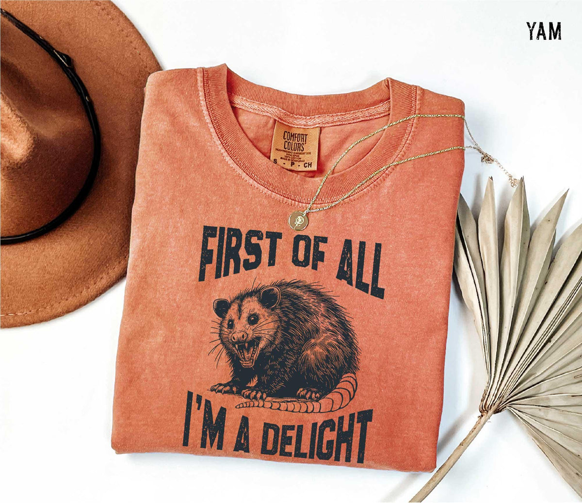 Funny Raccoon T-Shirt: Sarcastic Women's Tee