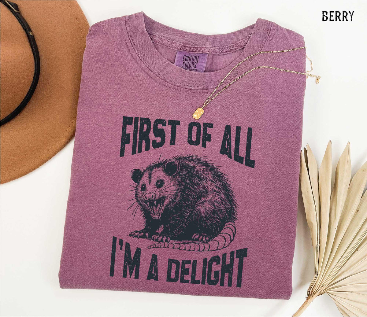 Funny Raccoon T-Shirt: Sarcastic Women's Tee