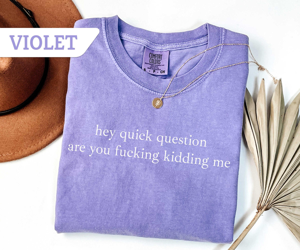 Comfort Colors® Hey Quick Question Are You Kidding Me Shirt, Funny Humor Shirt, Funny Girls Shirt, Sarcasm Shirt, Trendy Shirt for Women