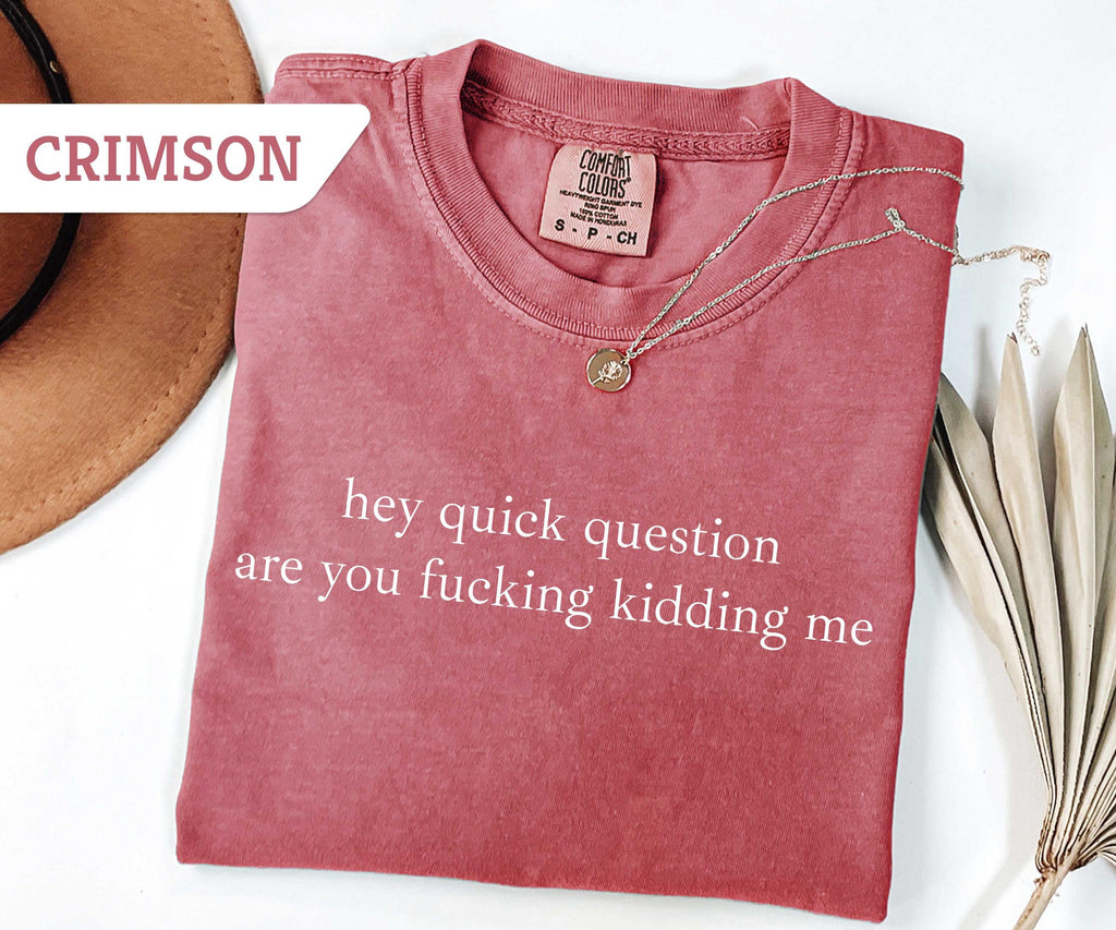 Comfort Colors® Hey Quick Question Are You Kidding Me Shirt, Funny Humor Shirt, Funny Girls Shirt, Sarcasm Shirt, Trendy Shirt for Women