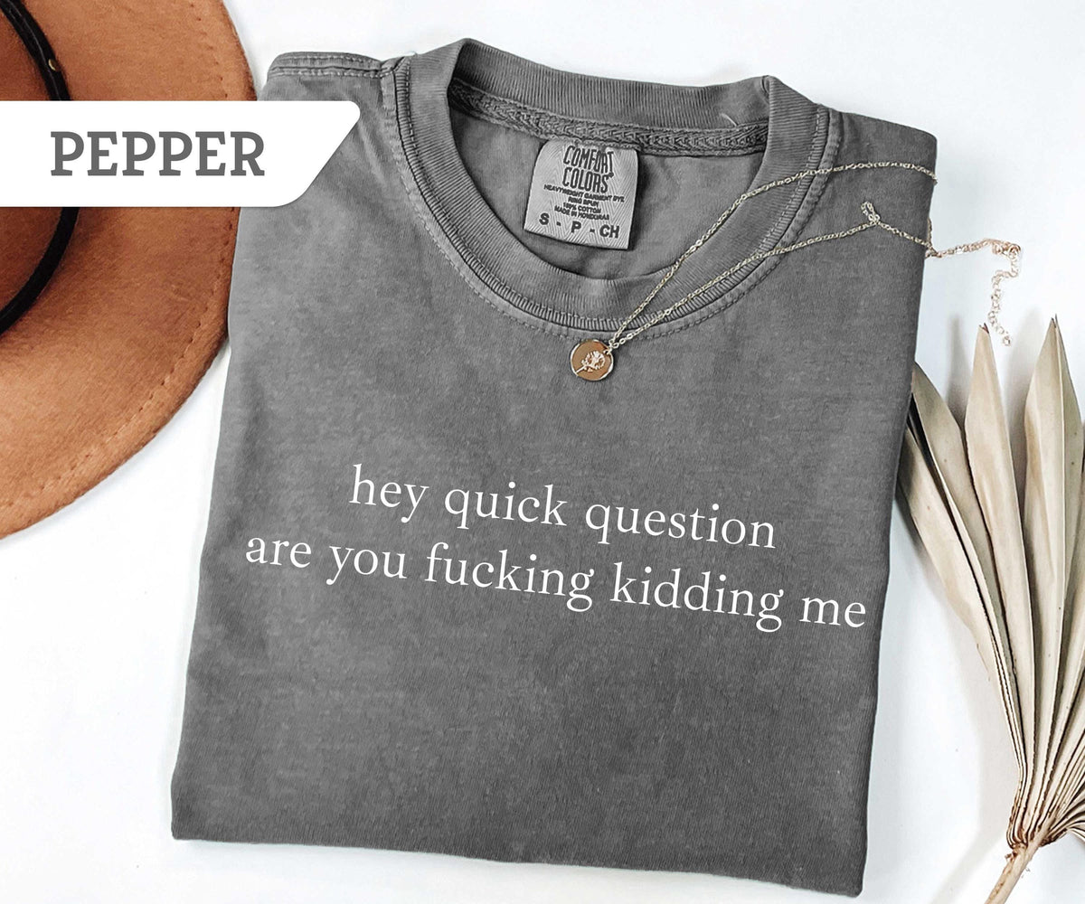 Comfort Colors® Hey Quick Question Are You Kidding Me Shirt, Funny Humor Shirt, Funny Girls Shirt, Sarcasm Shirt, Trendy Shirt for Women