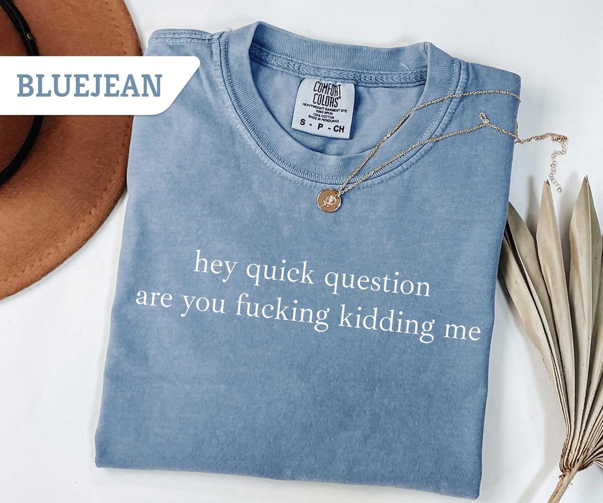 Comfort Colors® Hey Quick Question Are You Kidding Me Shirt, Funny Humor Shirt, Funny Girls Shirt, Sarcasm Shirt, Trendy Shirt for Women