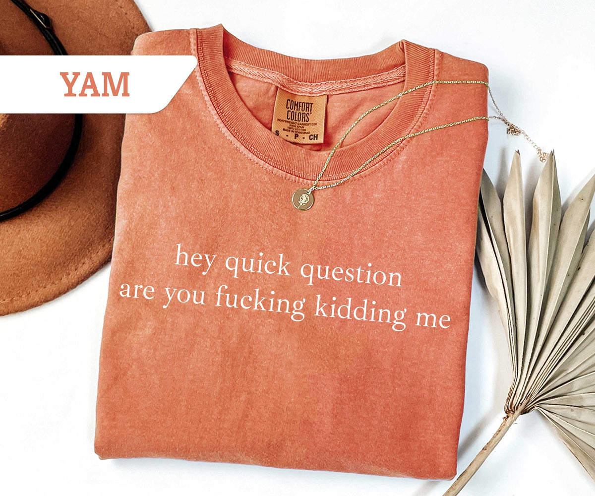 Comfort Colors® Hey Quick Question Are You Kidding Me Shirt, Funny Humor Shirt, Funny Girls Shirt, Sarcasm Shirt, Trendy Shirt for Women
